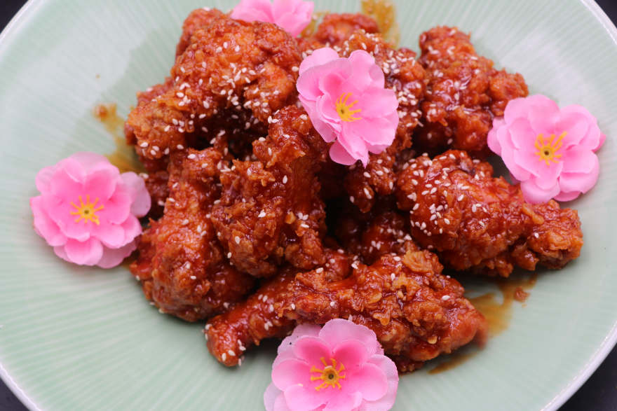 天津桃花鸡培训