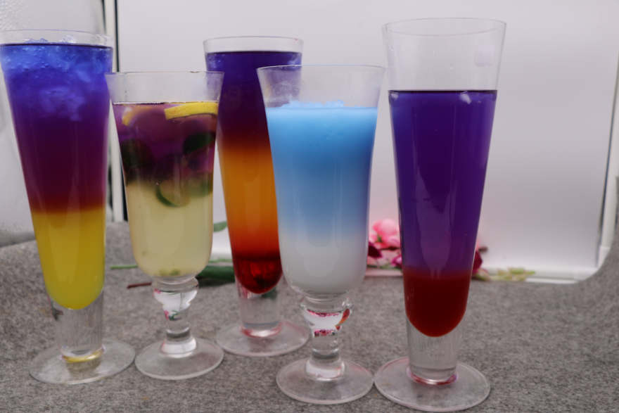 天津泰国蝶豆花培训